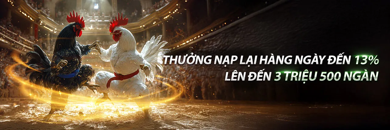 Đá Gà Trực Tuyến LG88 Login